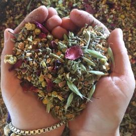 Food as Medicine: An Interview with Morgaine Witriol